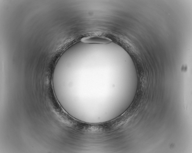 X0000093090546200710241202
