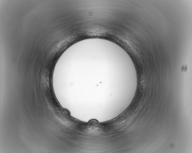 X0000093090547200710241202