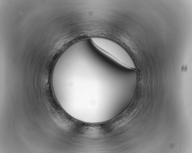 X0000093090548200710241202