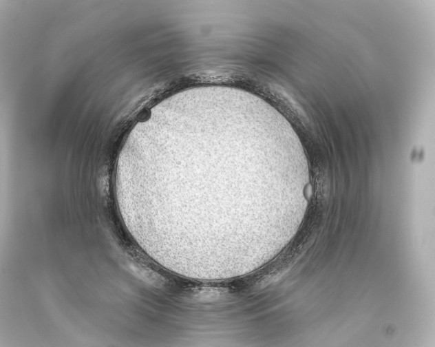 X0000093090549200710241202