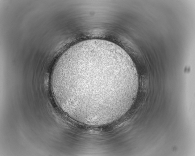 X0000093090550200710241202