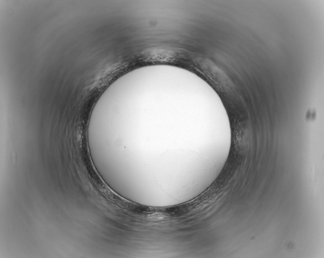 X0000093090551200710241203