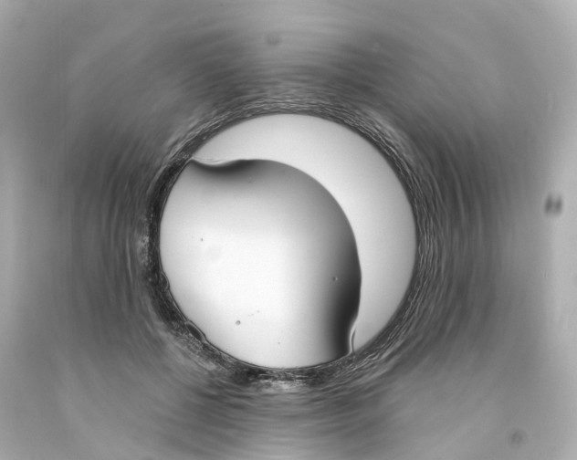 X0000093090552200710241203