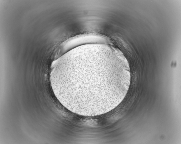 X0000093090553200710241203