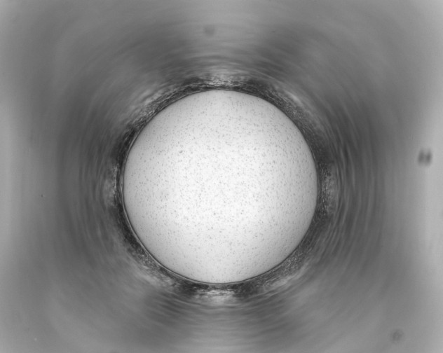 X0000093090554200710241203