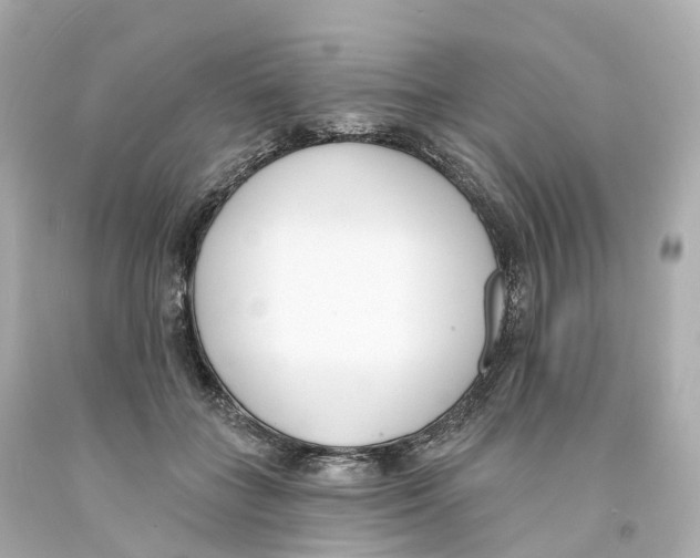 X0000093090555200710241203