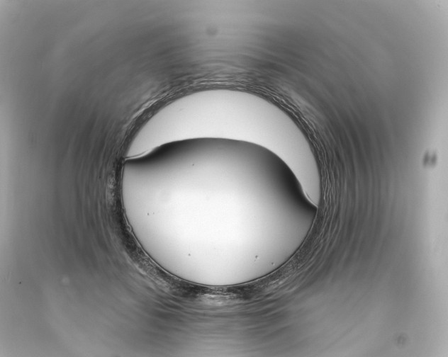 X0000093090556200710241203