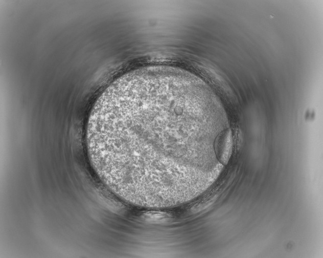 X0000093090557200710241203