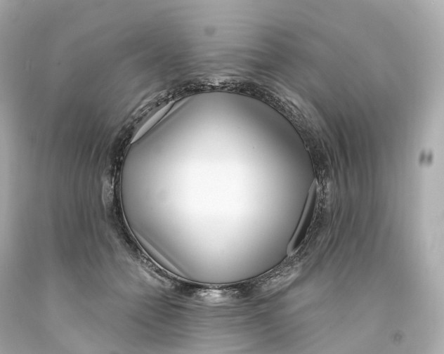 X0000093090558200710241203