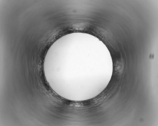 X0000093090559200710241203