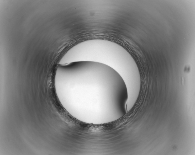 X0000093090560200710241203