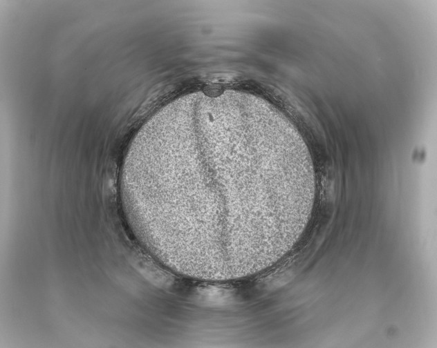 X0000093090561200710241203