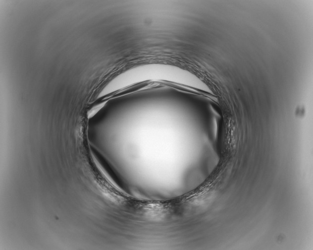 X0000093090562200710241203