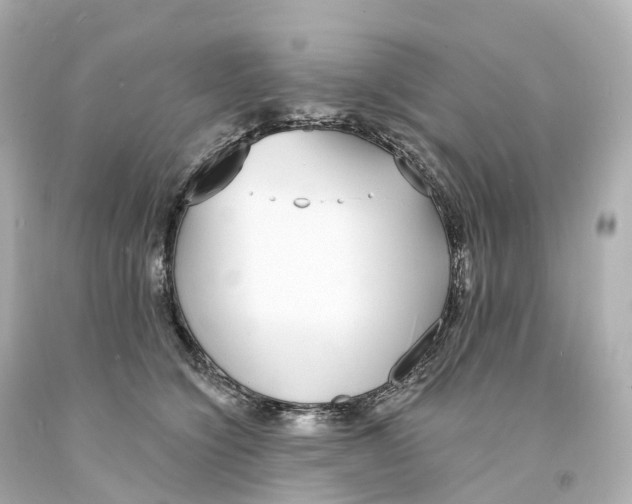 X0000093090564200710241203
