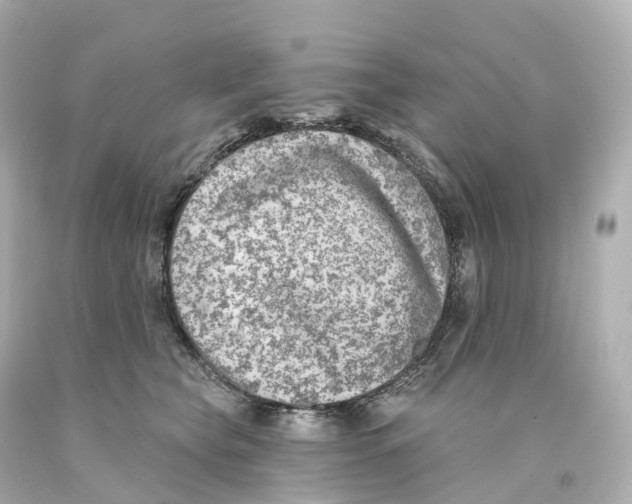 X0000093090565200710241203