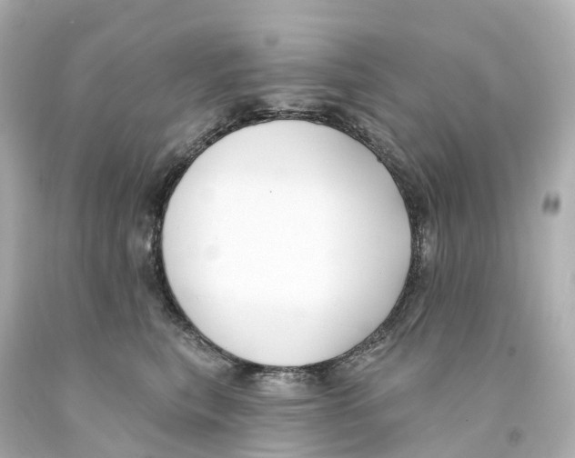 X0000093090567200710241203