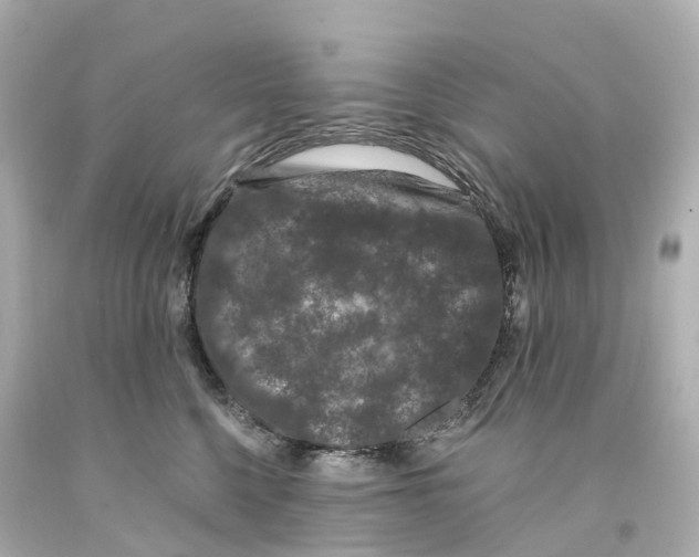 X0000093090568200710241203