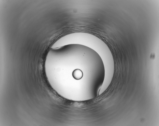 X0000093090570200710241203