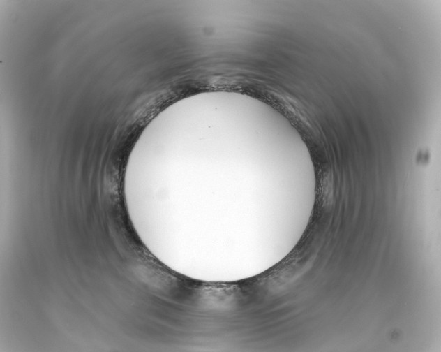 X0000093090571200710241203