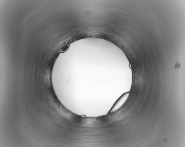 X0000093090575200710241203