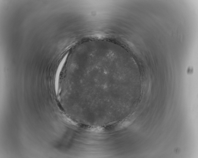 X0000093090576200710241203