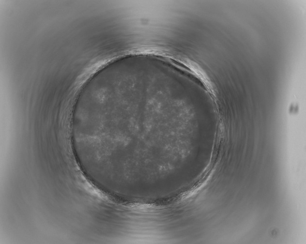 X0000093090577200710241202