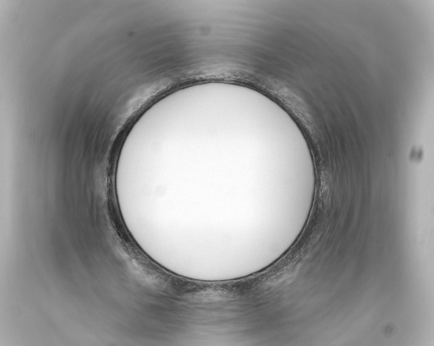 X0000093090578200710241202