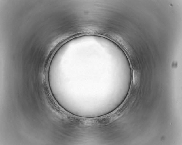X0000093090579200710241202