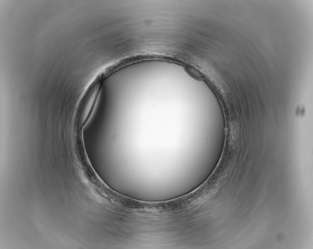X0000093090580200710241202