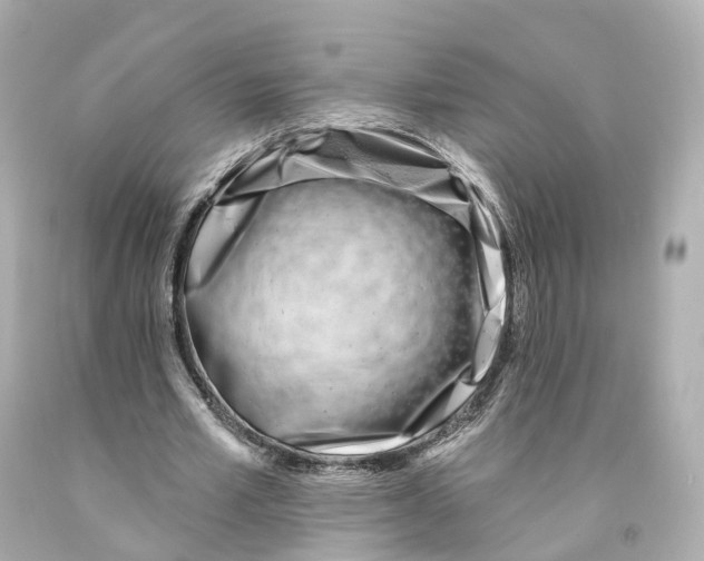 X0000093090581200710241202