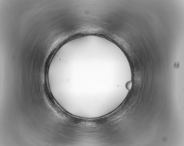 X0000093090582200710241202