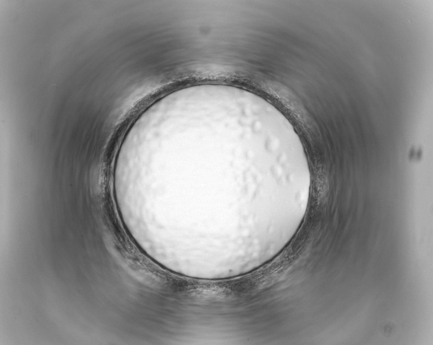 X0000093090583200710241202