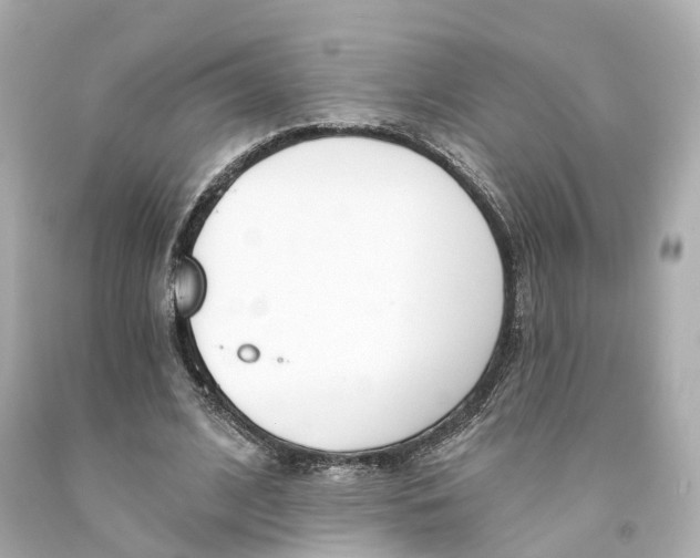 X0000093090584200710241202