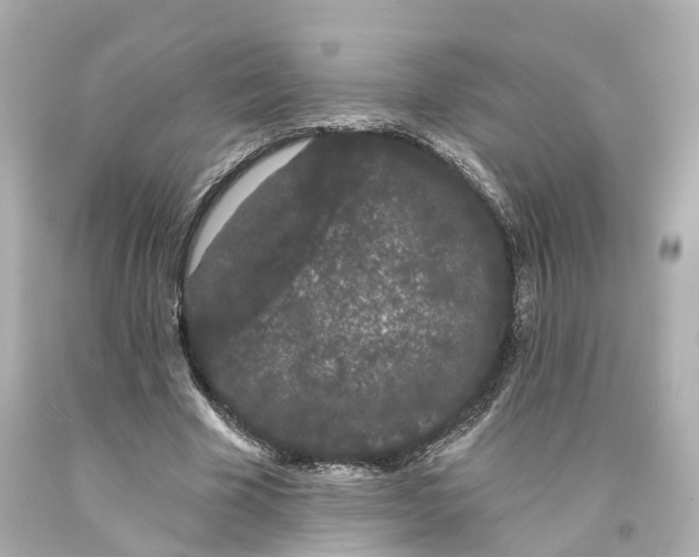 X0000093090585200710241202
