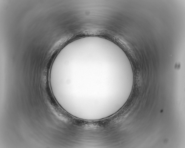 X0000093090586200710241202