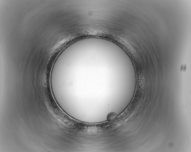 X0000093090587200710241202