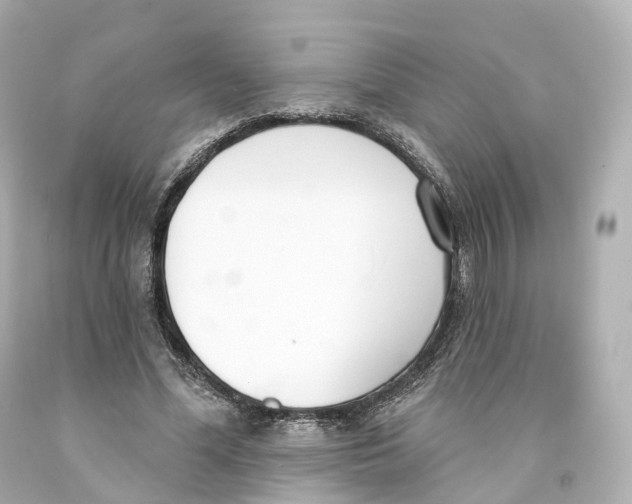 X0000093090588200710241202