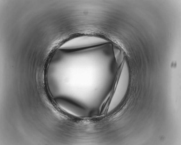 X0000093090589200710241202