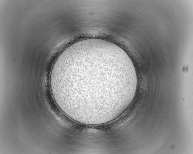 X0000093090590200710241202