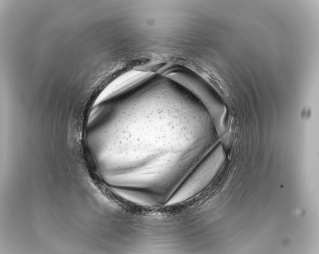 X0000093090593200710241202