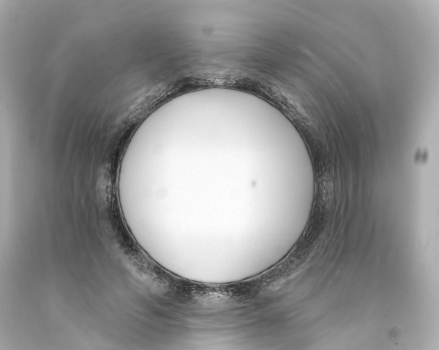 X0000093090594200710241202