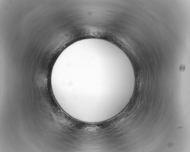 X0000093090595200710241202