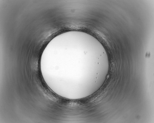 X0000093090596200710241202