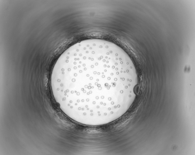 X0000093090597200710241202