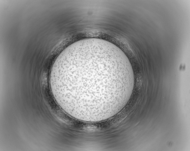 X0000093090598200710241202