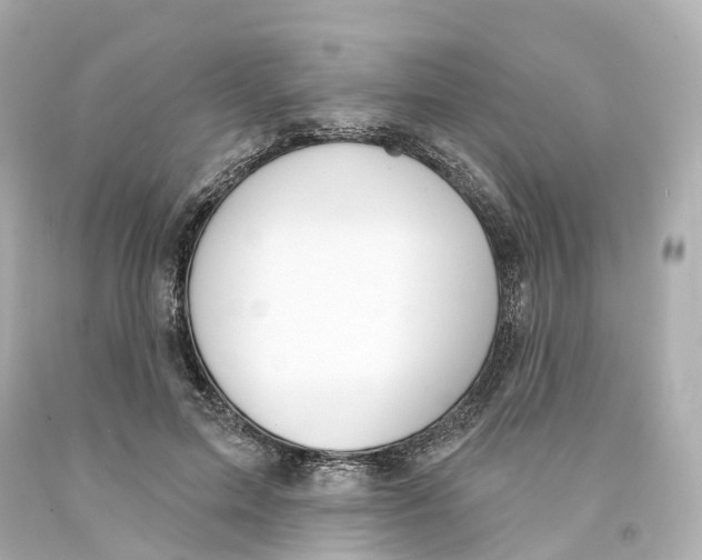 X0000093090599200710241202