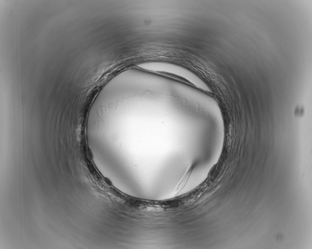 X0000093090600200710241202