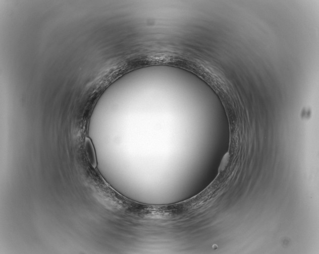 X0000093090601200710241202