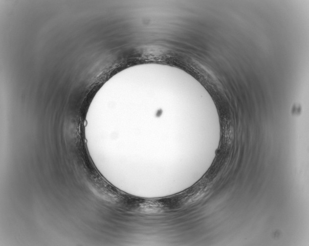 X0000093090603200710241202