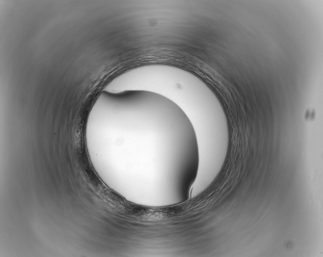 X0000093090604200710241202